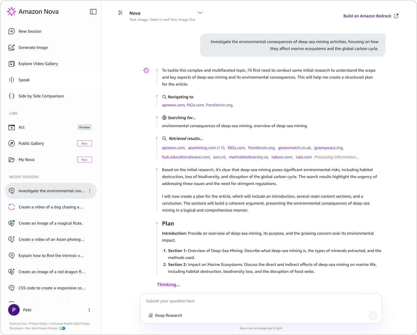 Amazon Nova research interface