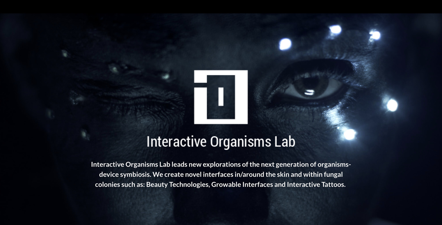 Interactive Organisms Lab